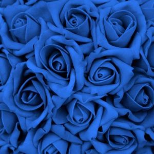 img comment cultiver des roses bleues 13207 600 square
